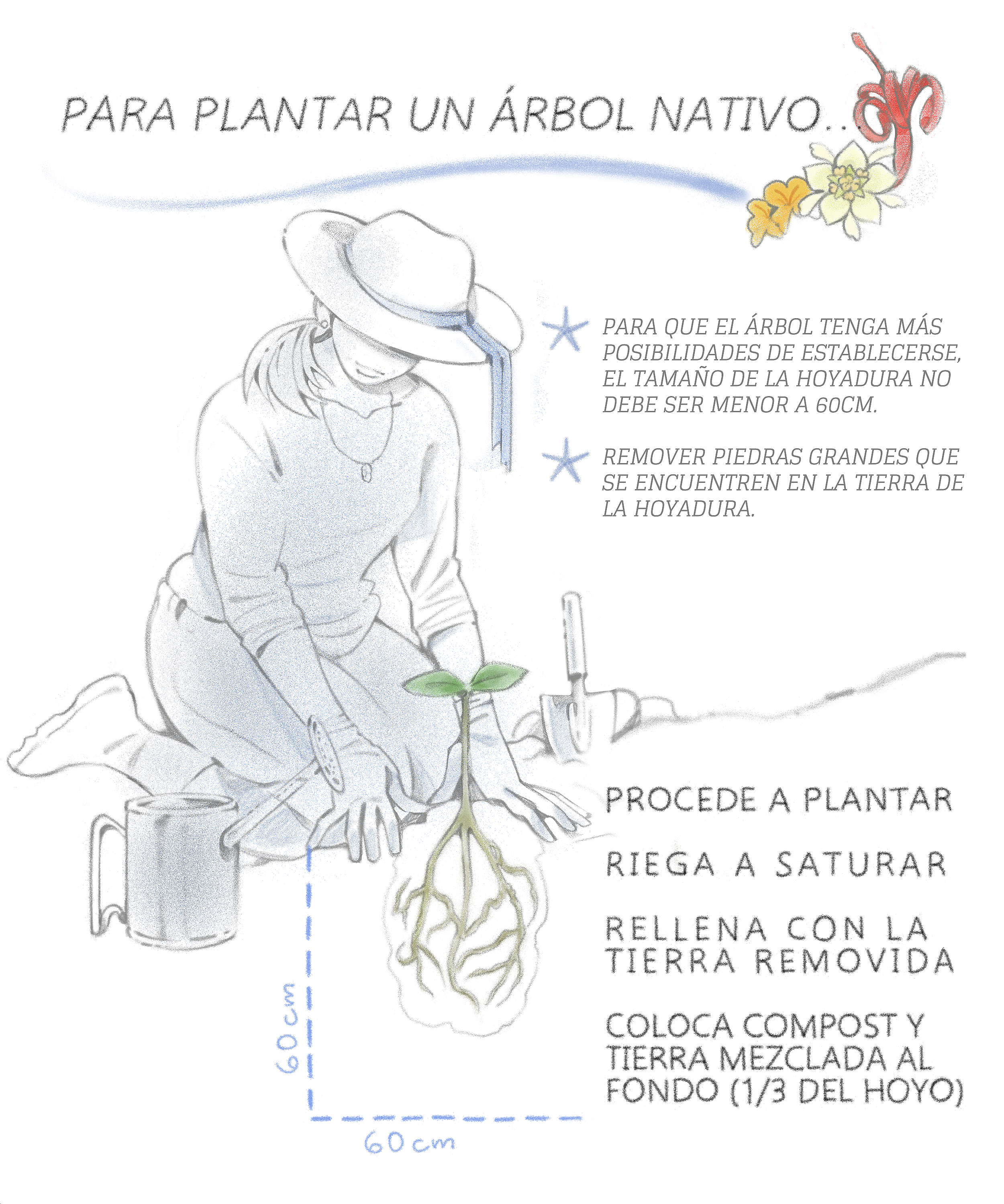 Ficha instructiva